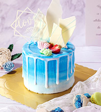 ��������רҵ