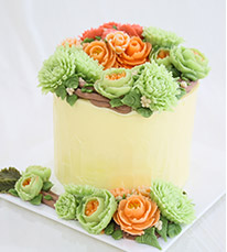 ��������רҵ