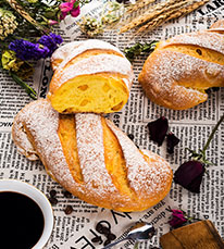 ��������רҵ