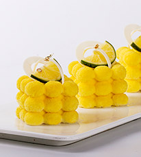 ��������רҵ