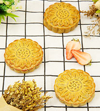 ��������רҵ