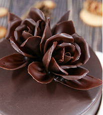 ��������רҵ