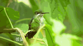 舌尖上的二十四节气 二十四节气 舌尖上的24节气 惊蛰 云南新东方烹饪学校