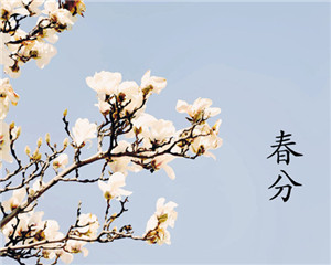 云南新东方烹饪学校 云南新东方 舌尖上的二十四节气 春分 二十四节气