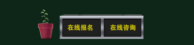 咨询按钮