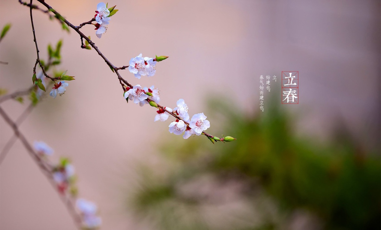 今日立春，云南人民吃神马？