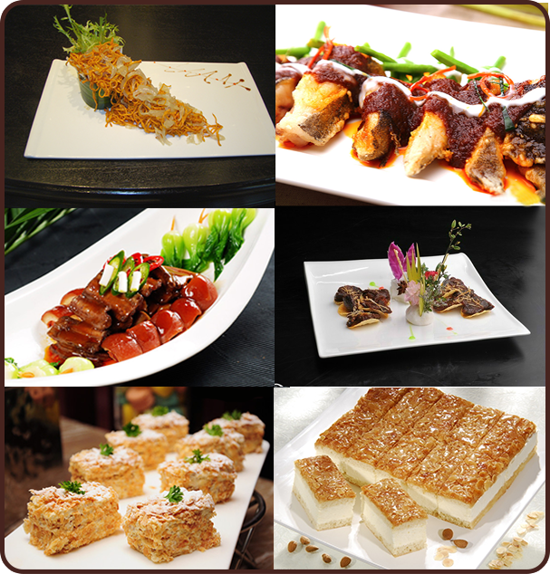 金牌大师公开课 一日课程免费学