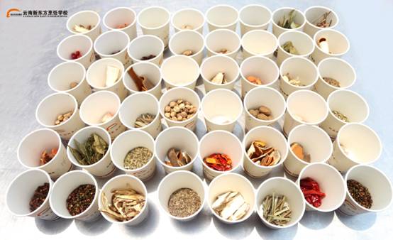 记忆，是最有力的技能