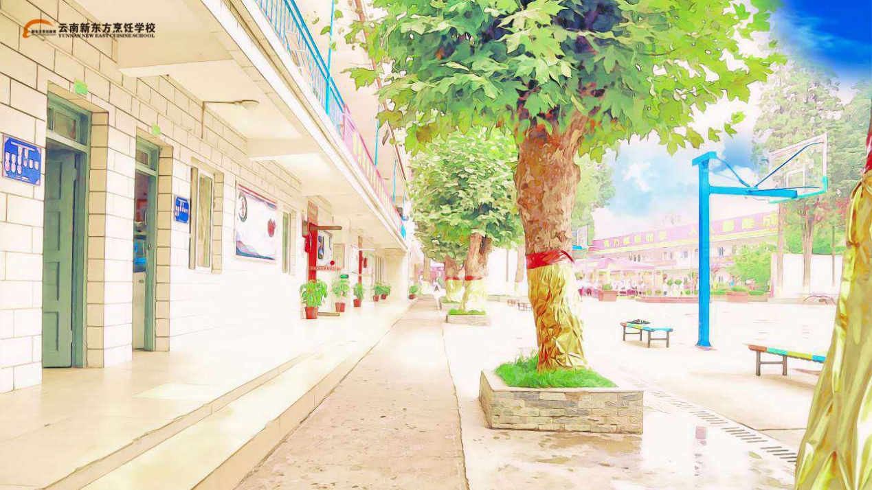 听说，云南新东方最近又被政府部门点名了……