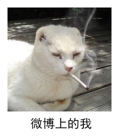 QQ空间集赞有礼品拿？！我和我的小伙伴都惊呆了