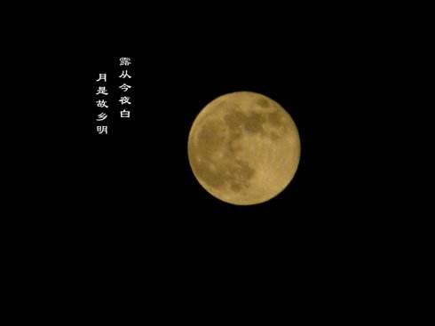 白露至，秋意浓