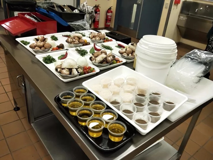 新东方学子游学澳洲，开启异域美食之旅！