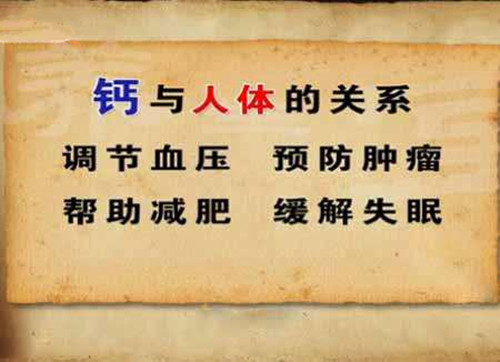 钙与人体的调节作用